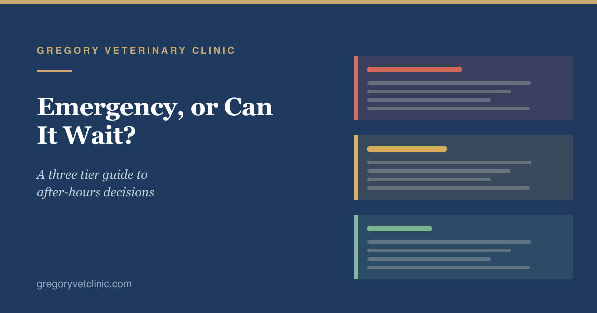 Emergency or Not? A Guide to After-Hours Decisions