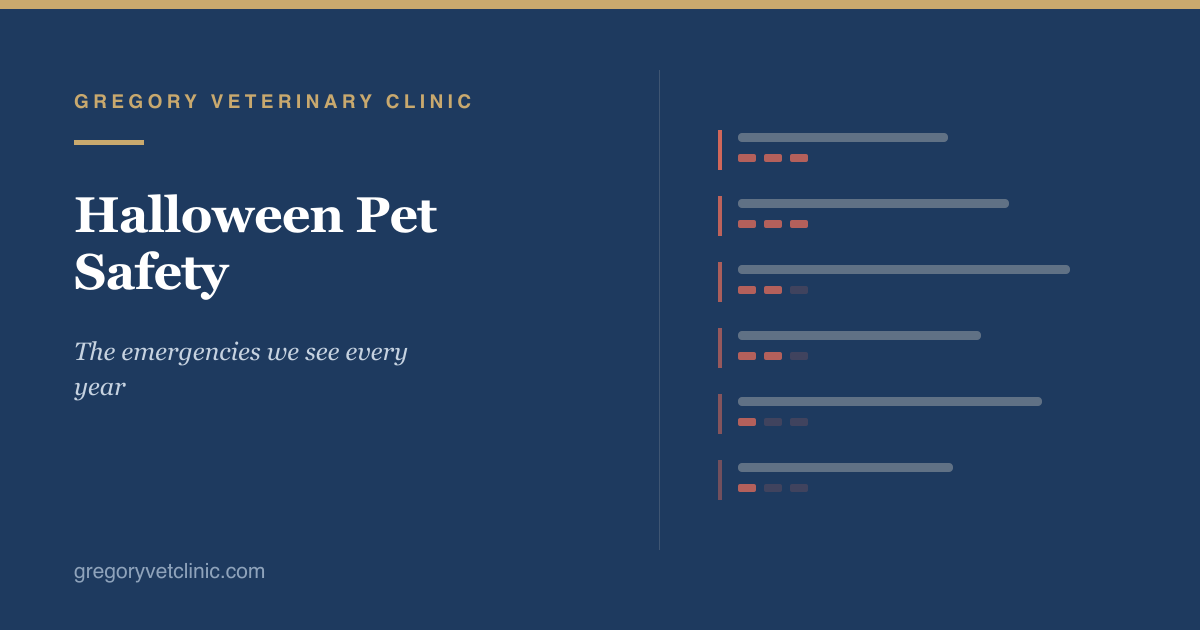 Halloween Pet Safety: The Emergencies We See Every Year