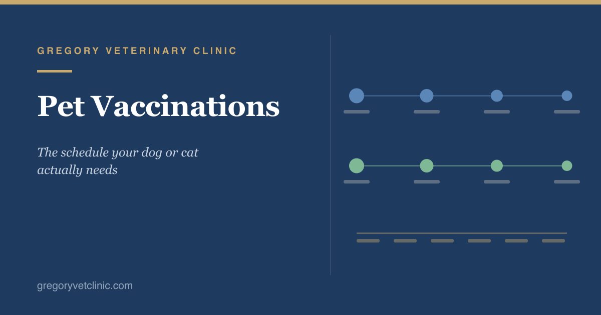 Pet Vaccinations: The Schedule Your Dog or Cat Actually Needs