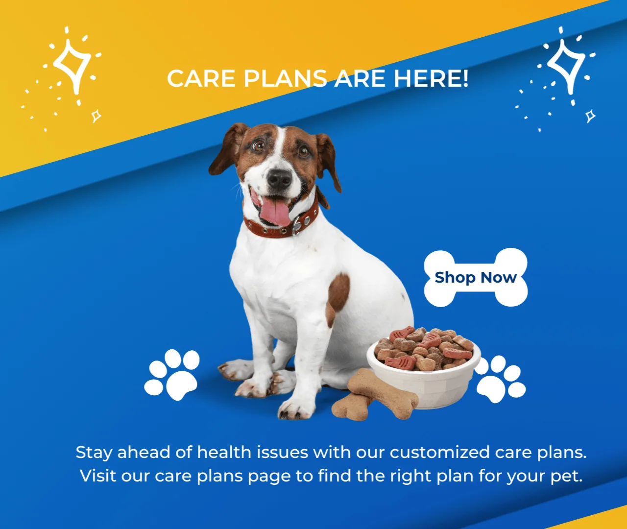 Care Plans are here — stay ahead of health issues with our customized care plans